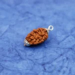 2_Mukhi_Rudraksha_Pendant
