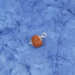 7_Mukhi_Rudraksha_Pendant