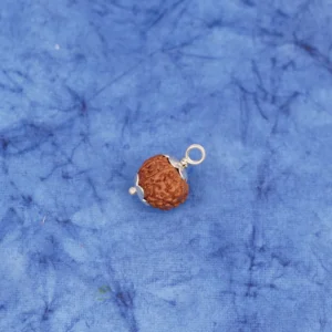 7_Mukhi_Rudraksha_Pendant